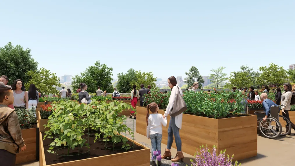 an outdoor garden on the Obama Presidential Center campus; in the garden are long wooden planters, in each planter is a different – indiscernible – vegetable. Around the garden, people are walking around: in the center is a woman holding the hand of a small child. On the right hand side, an elderly man in a wheelchaired is being wheeled around by a younger woman. 