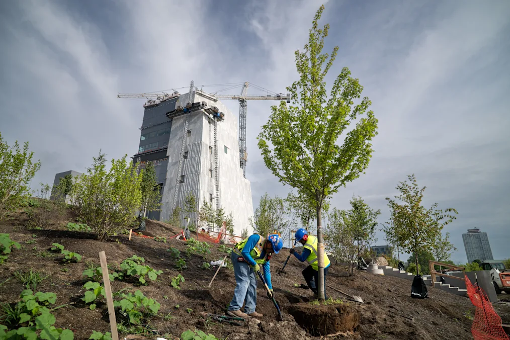 Two workers in hard hats and yellow protective vests plan trees at the Obama Presidential Center in Chicago on July 25, 2025. The Museum Building is in the background. ​​​​‌﻿‍﻿​‍​‍‌‍﻿﻿‌﻿​‍‌‍‍‌‌‍‌﻿‌‍‍‌‌‍﻿‍​‍​‍​﻿‍‍​‍​‍‌‍​﻿‌‍﻿﻿‌‍﻿‍‌﻿‌​‌‍‌‌‌‍﻿‍‌﻿‌​‌‍‌‍‌﻿‌‌‌‍﻿​​‍﻿‍‌‍​﻿‌‍﻿﻿‌‍﻿‌​‍​‍​‍﻿​​‍​‍‌‍‍​‌﻿​‍‌‍‌‌‌‍‌‍​‍​‍​﻿‍‍​‍​‍‌‍‍​‌﻿‌​‌﻿‌​‌﻿​​‌﻿​﻿​﻿‍‍​‍﻿﻿​‍﻿﻿‌‍​‌‌﻿​​‌﻿​​​‍﻿‍‌‍​﻿‌‍﻿﻿‌‍﻿‍‌﻿‌​‌‍‌‌‌‍﻿‍‌﻿‌​‌‍‌‍‌﻿‌‌‌‍﻿​​‍﻿‍‌‍​﻿‌‍﻿﻿‌‍﻿‌​‍﻿﻿‌﻿​﻿‌﻿​​‌‍​‌‌‍​﻿‌‍‌‌‌﻿​﻿​‍﻿﻿‌‍﻿​​﻿‌﻿‌‍‍​​﻿‌‌​﻿‍‌‌‍‍​‌‍‌‍‌‍﻿‍‌‍﻿​‌﻿‍​‌‍‍‍‌﻿‍​​‍﻿﻿‌‍‌‌‌‍﻿‍‌﻿‌‍‌‍‍‌‌﻿​‍‌‍﻿﻿‌‍﻿‍‌‍﻿‌‌‍‌‌‌‍﻿‍‌﻿‌​‌﻿​﻿​‍﻿﻿‌‍﻿‌‌‍​‌‌﻿​﻿‌﻿‌​‌‍‌‌‌﻿​‍​‍﻿﻿‌‍‌‌‌‍﻿‍‌﻿‌​‌﻿​‍‌‍‍‌‌‍‌‌‌﻿​﻿​‍﻿﻿​﻿​‍‌‌​‌‌​​‌​﻿‌‌‌‍﻿‌‌‌​‍​﻿‌‌‌‌‍‍‌​‌﻿‌‌‌﻿‌​‍﻿‌​‌‍‌‌‍‍‌‌‍‍‌‌‌​‌‍​‍‌‍‍‍‌﻿‌﻿​﻿​‌‌‌​‍‌‌‍‌‌​﻿﻿​‍﻿﻿​﻿﻿﻿‌‍‌‍‌‍﻿﻿‌‍​﻿‌﻿‌‌‌﻿​﻿‌‍‌‌‌‍‌​‌​‌‍‌‍‍‌‌‍‌‌‌‍﻿​‌‍‌​​﻿﻿‌‌‍​‌‌‍﻿​‌﻿‌​‌‌‌​‌‍‌‌‌﻿‍​‌﻿‌​​‍‌‍‌‍‌‍‌‍﻿﻿‌‍​﻿‌﻿‌‌‌﻿​﻿‌‍‌‌‌‍‌​‌​﻿​‌‍﻿﻿‌‍​﻿‌‍​‌‌‍﻿​‌‍‌‌​﻿﻿‌‌‍‌‌‌‍﻿‍​‍﻿‌‌‌‌‌‌‌​﻿​‍‌‍‌﻿​﻿‌‍﻿﻿‌﻿‌‌‌﻿​‍‌‍​﻿‌‍‌‌​﻿﻿‌‌﻿‌‍‌‍‌‌‌﻿​‍‌‍​﻿‌‍‌‌‌‍﻿​​‍﻿‌‌‍​﻿‌‍﻿﻿‌‍﻿‍‌﻿‌​‌‍‌‌‌‍﻿‍‌﻿‌​​‍﻿‌‌‍﻿​‌‍‍‌‌‍﻿‍‌‍‍﻿​‍​‍​‍﻿​​‍​‍‌‍​﻿‌‍﻿﻿‌‍﻿‍‌﻿‌​‌‍‌‌‌‍﻿‍‌﻿‌​‌‍‌‍‌﻿‌‌‌‍﻿​​‍​‍​﻿‍‍‌﻿‍﻿​‍​‍‌‍‌‌‌‍‌​‌‍‍‌‌﻿‌​‌‍﻿﻿‌﻿​‍‌​‍‌‌‍﻿‍‌﻿‌​‌‍‌‌‌﻿​‍‌‍‌‍‌‍​‌‌‍​﻿‌‍‌‌​‍​‍​﻿‍‍‌﻿‍﻿​‍​‍‌﻿‌﻿‌‍‍‌‌‍‌​‌‍‌﻿‌‍‌‌‌﻿‌​‌​‍‌‌‍‌​​‍​‍​﻿‍‍​‍​‍‌‍﻿‌‌﻿‌‌‌‍﻿​‌﻿‌​‌‍‍‌‌﻿​​‌‍﻿​‌‍‌‌‌​﻿​‌‍‍‌‌‍﻿‍‌‍‌‌​‍​‍​‍﻿​​‍​‍‌﻿‌﻿‌‍‍‌‌‍‌​‌‍‌﻿‌‍‌‌‌﻿‌​‌​﻿‍‌‍​‌‌‍﻿‌‌‍‌‌‌﻿​﻿‌﻿​​‌‍​‌‌‍​﻿‌‍‌‌​‍​‍​﻿‍‍​‍​‍‌‍​‍‌﻿‌‌‌‍‍‌‌‍﻿​‌﻿‌​‌‍‍‌‌‍﻿‍​‍​‍‌﻿﻿‌​‍﻿​​‍​‍‌‍‌‍‌‍‍‌‌‍‌‌‌‍﻿​‌‍‌​‌‌‌​‌﻿‍‌‌﻿​​‌‍‌‌​‍​‍​﻿‍‍​‍​‍‌‌‌​‌‍‌‌‌﻿‍​‌﻿‌​​‍​‍‌﻿﻿‌‌﻿﻿‌