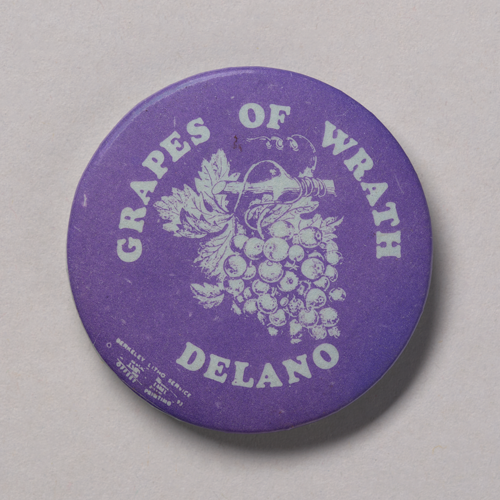 A purple button with the image of grapes in the middle and the words “Grapes of wrath Delano” written on it