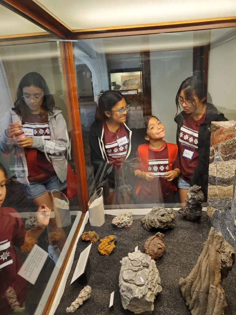 Six girls with a range of skin tones and hair color peer through a protective case at the Chicago Field Museum at an array of rocks of different shapes, colors, and sizes.