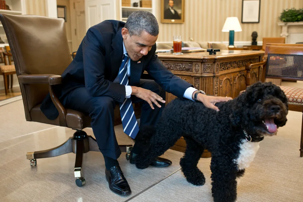 President Barack Obama pets Bo