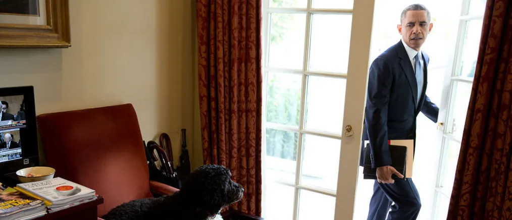 Bo was just hanging out in the Outer Oval Office