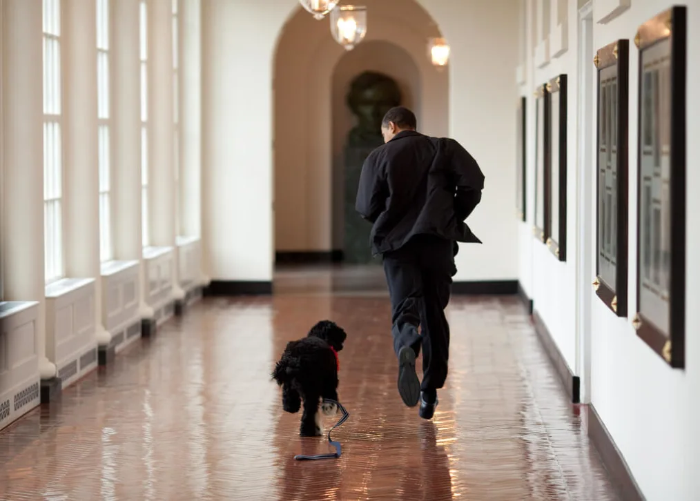 Bo and President Obama in the corridor