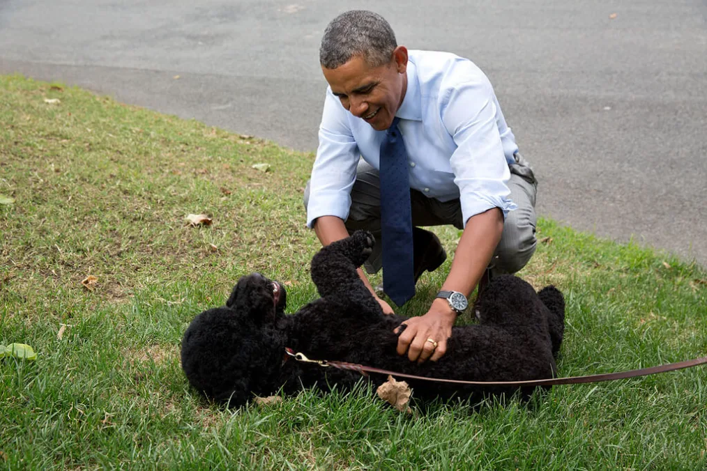 The President plays with Sunny