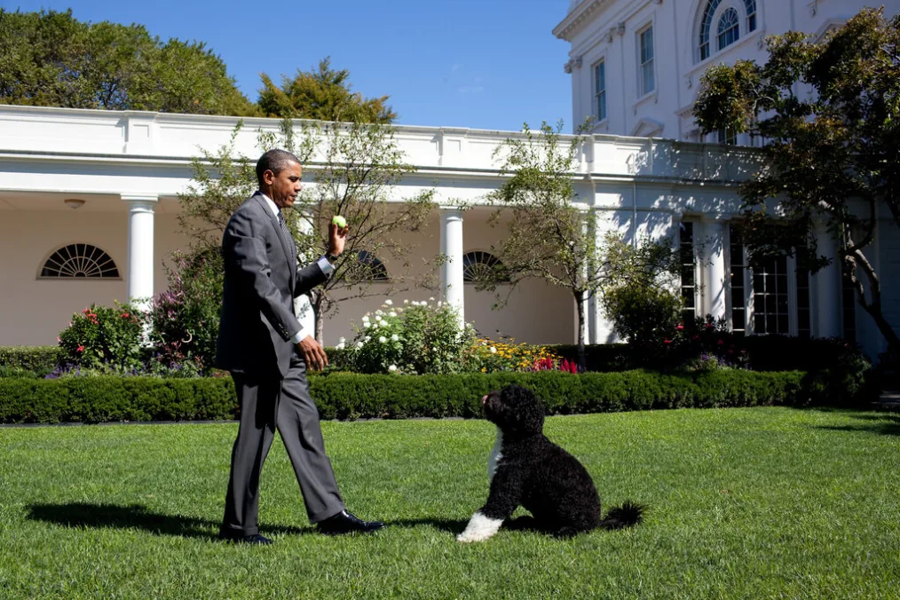 President Barack Obama throws a ball for Bo