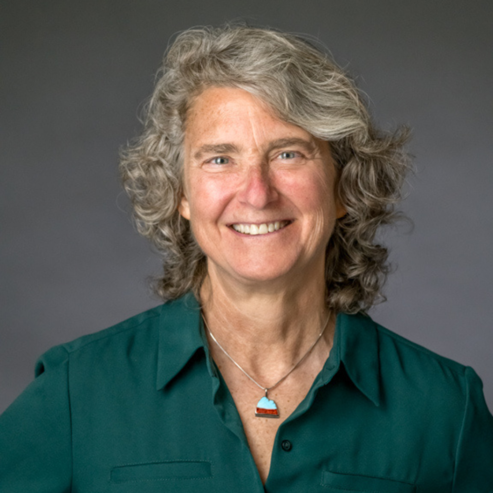 The image of is a headshot of Pam Coleman. She has a light olive complexion, blue eyes, and gray wavy hair. She is wearing a green shirt, a blue and red pendant necklace, and smiling into the camera. The background behind her is gray.