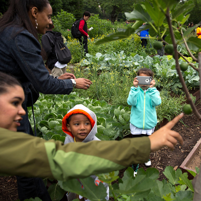 Summer Garden 1:1 Thumbnail