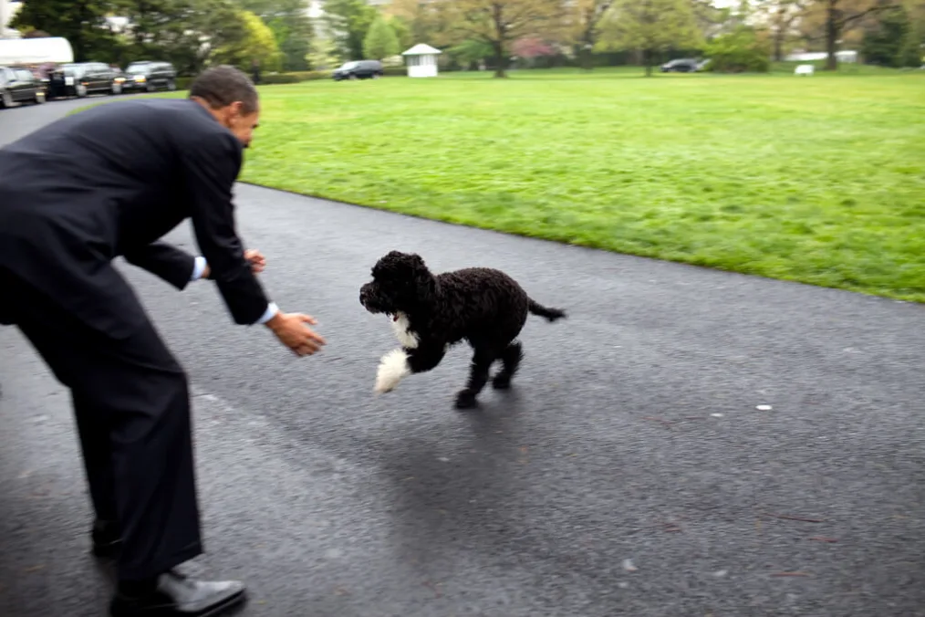 President Barack Obama plays with family dog "Bo"