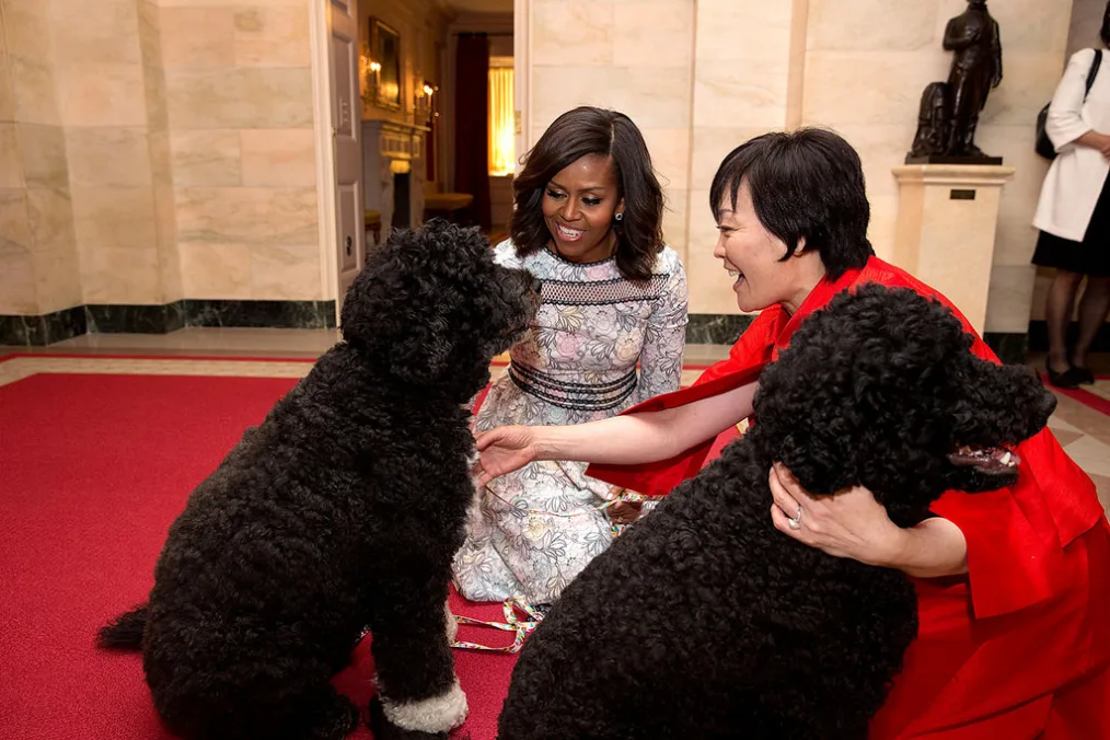 First Lady Michelle Obama and First Lady Akie Abe of Japan are greeted by Obama family pets