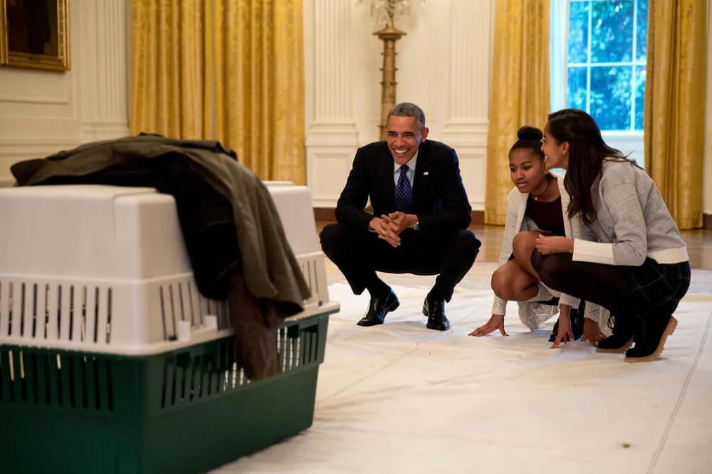 The President and his daughters Malia and Sasha look at 'Mac' the turkey in the East Room