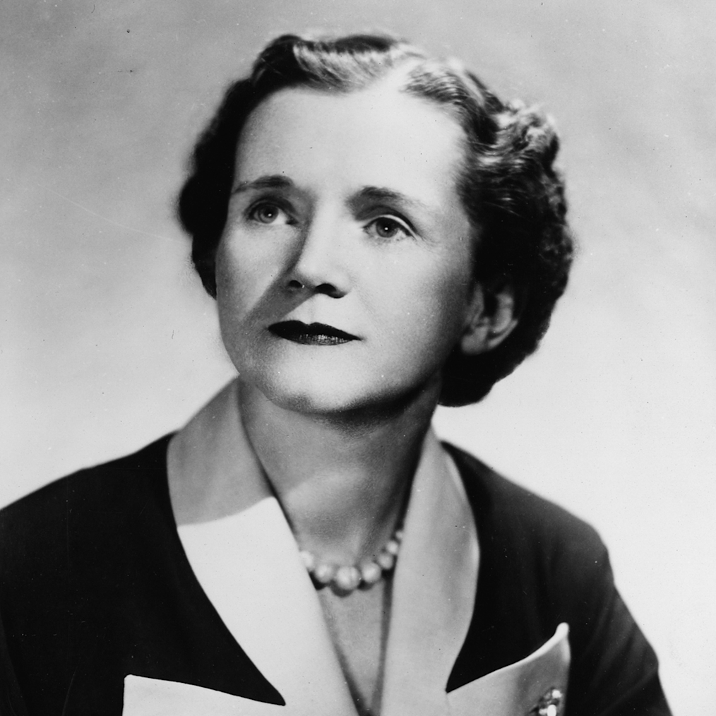 Headshot of Rachel Carson