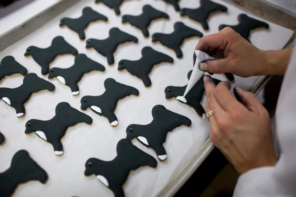 White House pastry chefs decorate cookies shaped like Bo