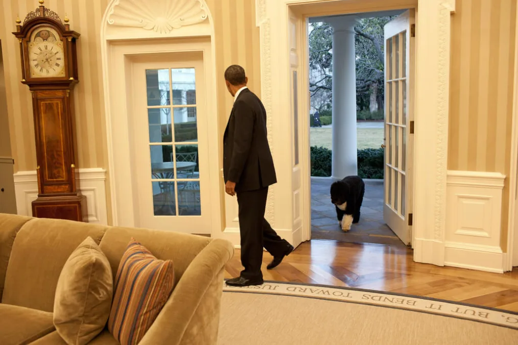 President Barack Obama looks back at Bo