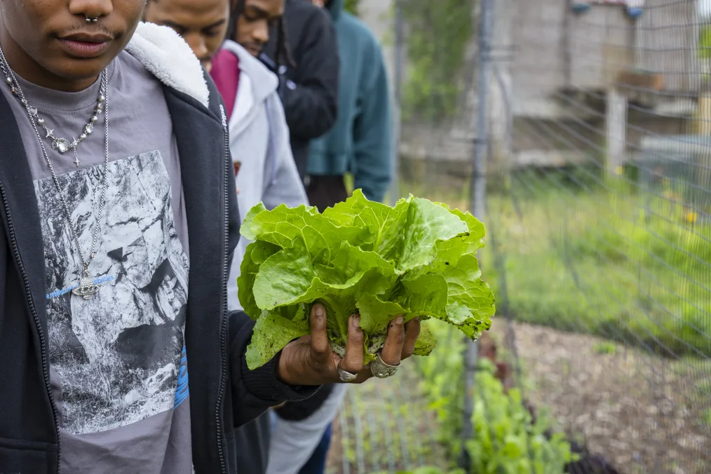 A Black boy with a medium skin tone holds a head of lettuce. Four other men with a range of light to deep skin tones stand behind him. All faces are partially in the camera.