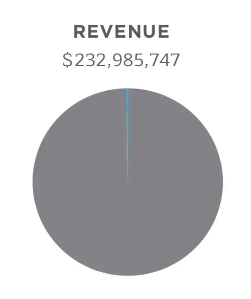 A nearly all gray pie chart with a sliver of blue. The word "REVENUE" is at the top with $232,985,747 beneath it.