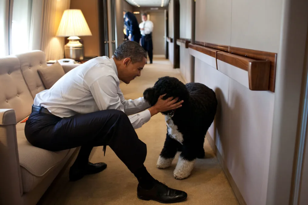 President Barack Obama plays with Bo