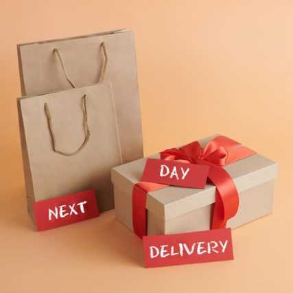 Next-Day delivery easy and fast with Packlink.