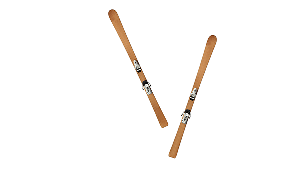 Comment envoyer des skis en France.