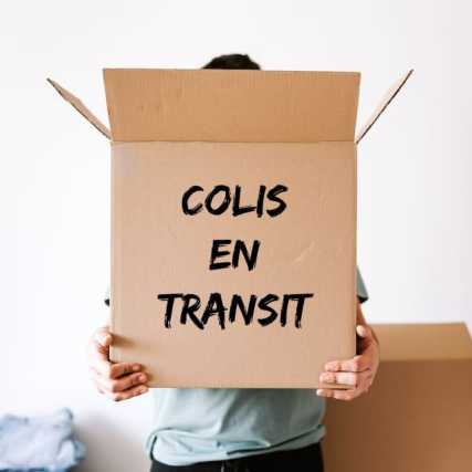 Que veut dire colis en transit ?