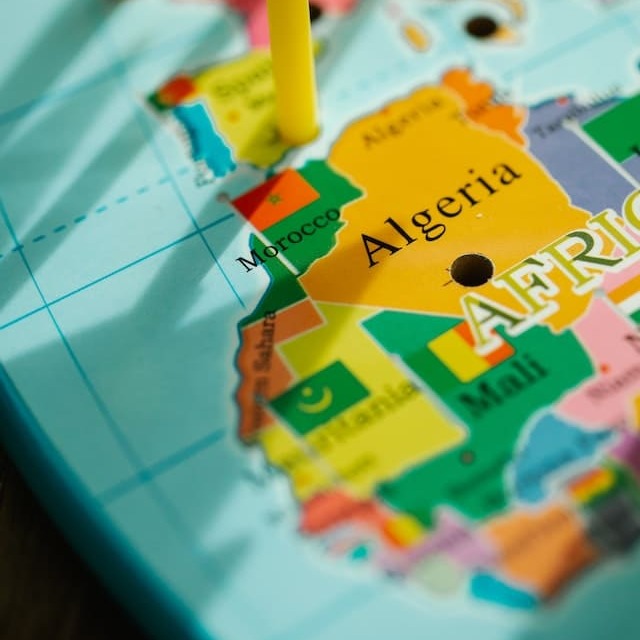 Dédouanement de colis ou marchandises en Algérie.