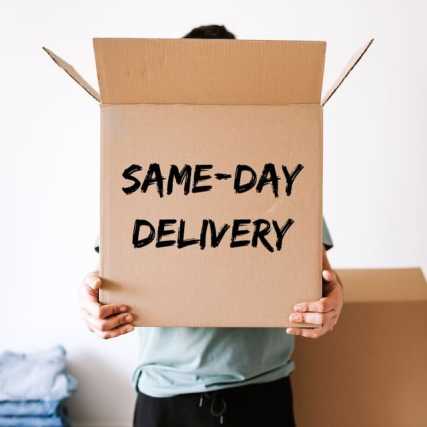 Why choose Packlink for same-day delivery services.