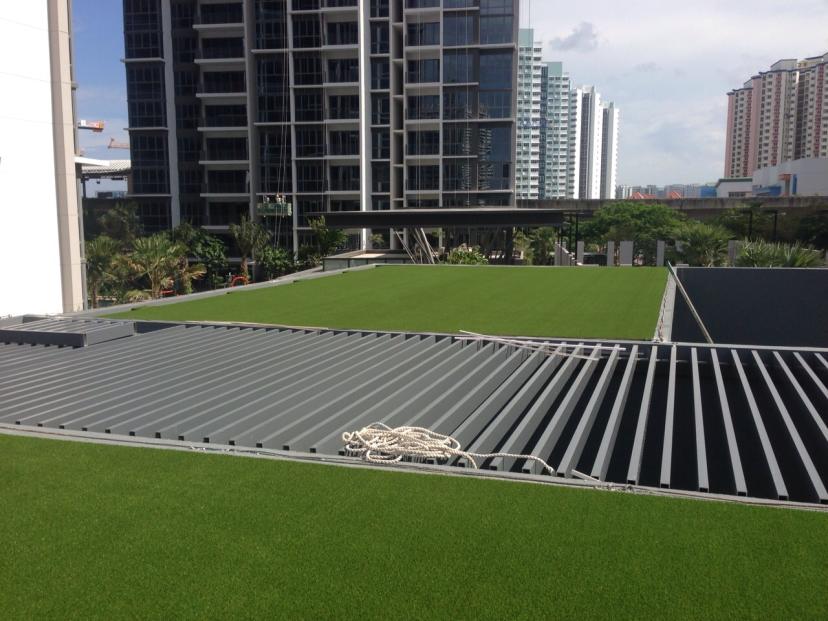 gallery-royal-grass-green-roof-5