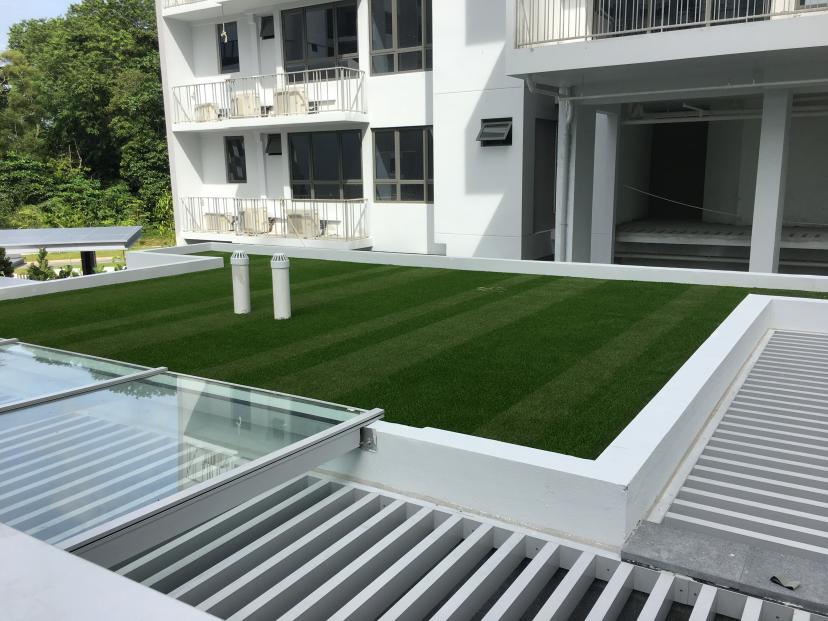 gallery-royal-grass-green-roof-11