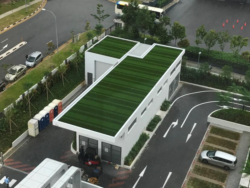 gallery-royal-grass-green-roof-8