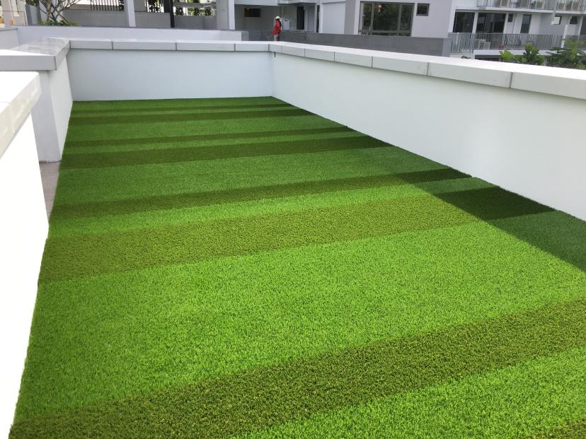 gallery-royal-grass-green-roof-2