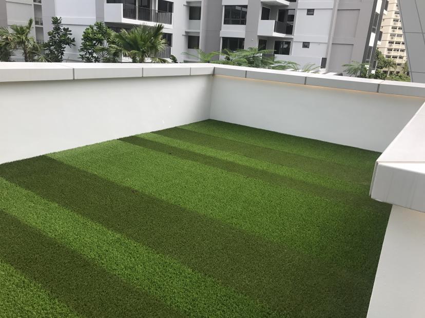 gallery-royal-grass-green-roof-9