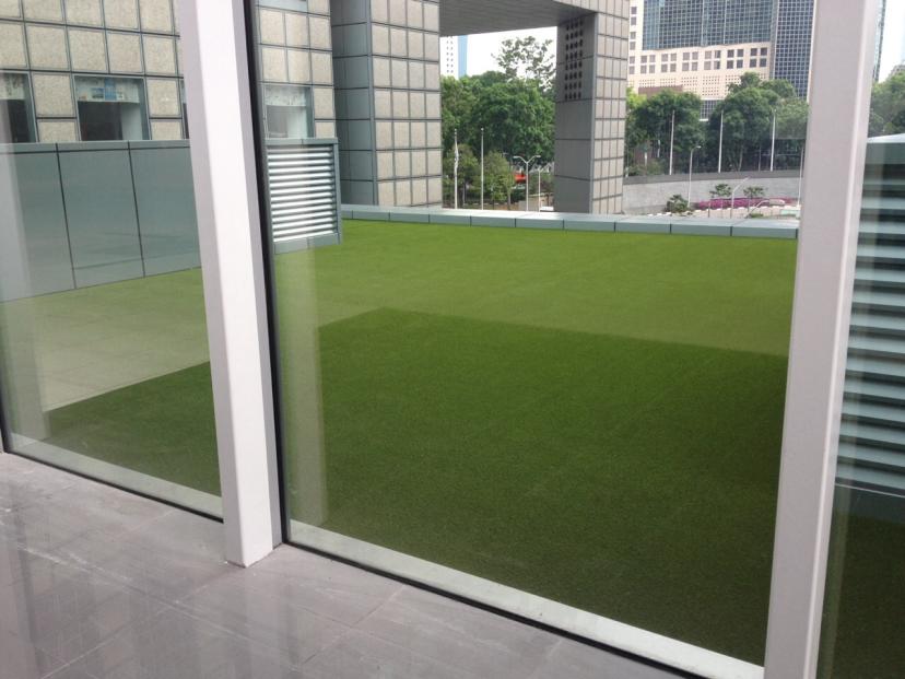 gallery-royal-grass-green-roof-10