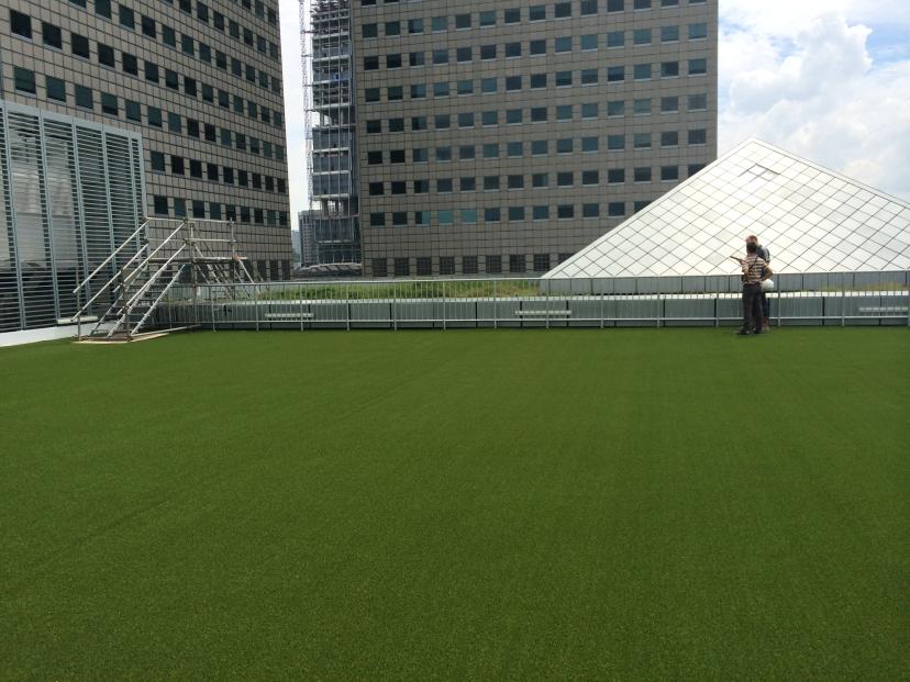 gallery-royal-grass-green-roof-4