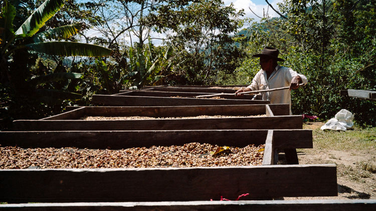 Soil & Sand: collaborative coffee stories