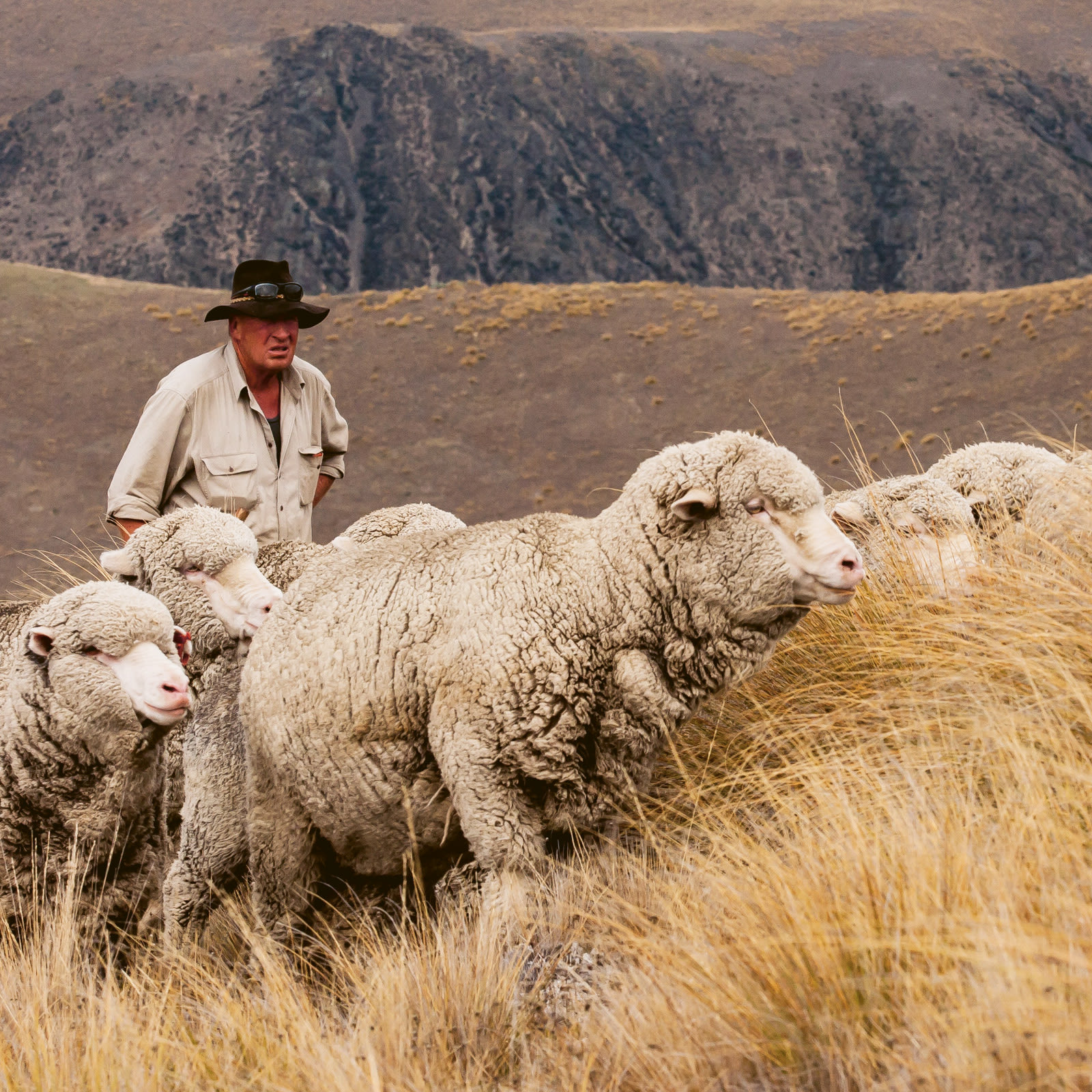 Sheep Inc and the rise of ultra-traceable fashion