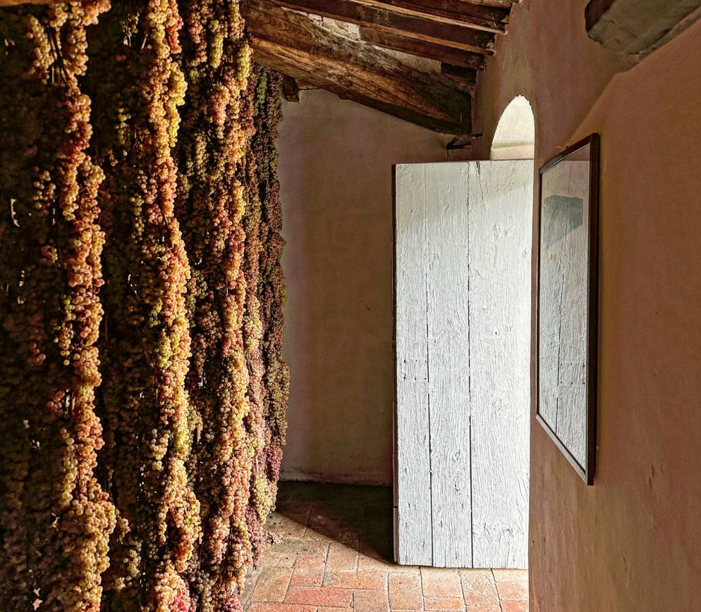 Wie ein Kunstwerk: Traubentrocknung für den Vinsanto auf Castello Pomino.