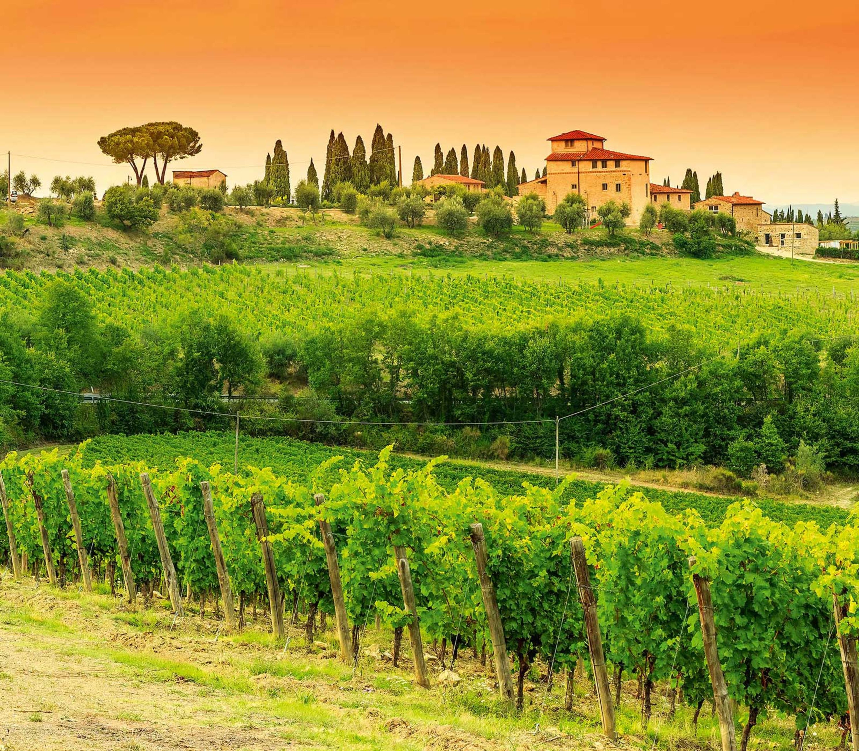 Weinreisen in der Toscana Annemarie Wildeisens KOCHEN