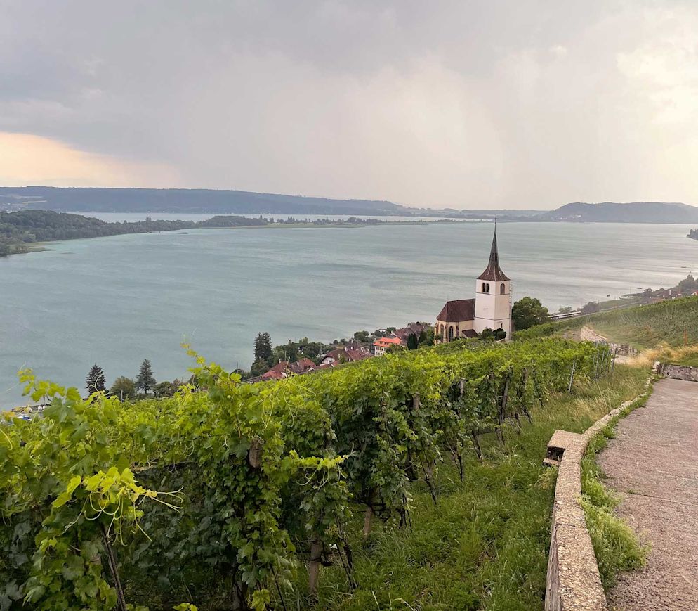 Idylle pur: Ligerz mit seiner Kirche, die Reben und natürlich der Bielersee mit der St. Petersinsel.