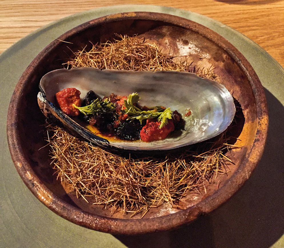 Besonders die Seafoodgänge im «Kadeau» sind herausragend: Riesenmiesmuschel mit Rande und Fichtentrieben.