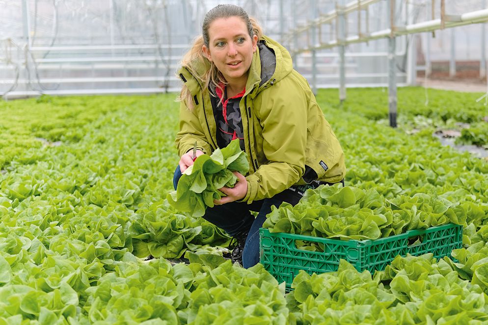 MIT HINGABE FÜR DEN SALAT