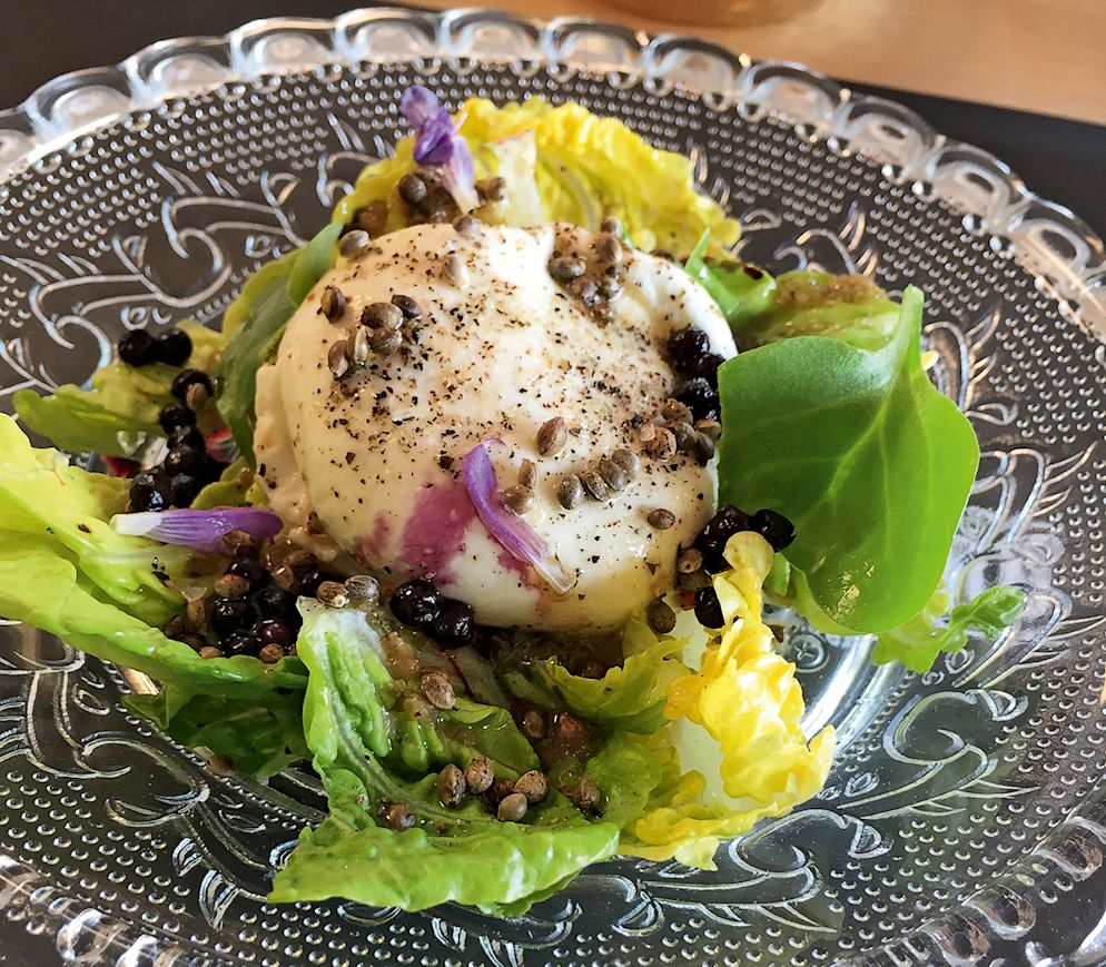 Kreativität und Frische à la Schauenberg: Burrata auf Salatherzen mit Holunder und Hanf.