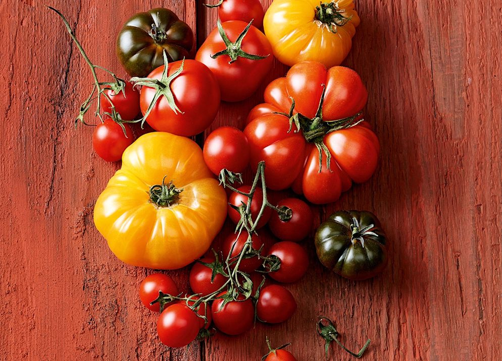 Tomaten