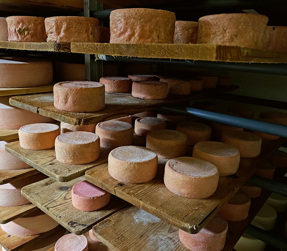 Auf der Alp «Chäseren - holz» reift eine fantas - tische Auswahl an Käse heran.