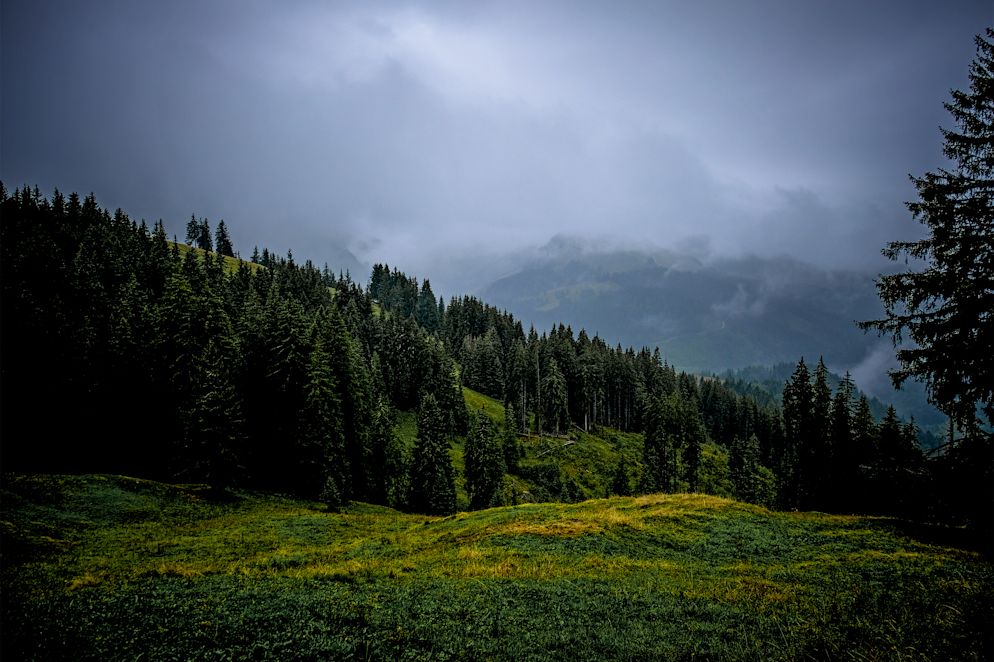 «So nahe wie auf der Jagd ist man der Natur sonst nie.» Die wildromantische Landschaft des Gantrischgebiets ist Rosmarie Böhlens bevorzugtes Jagdrevier.