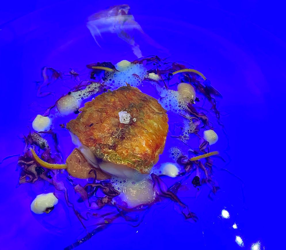 Wie ein abstraktes Gemälde: Rotbarbe à l`Orange im Restaurant «August».