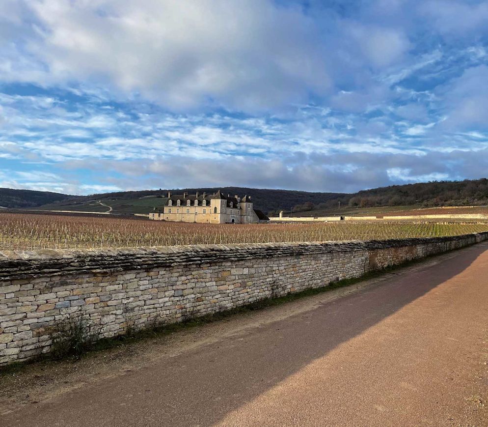 Und bald erscheint dieses fast unwirkliche Schloss in den Reben, Château du Clos de Vougeot. Ein Name von geradezu magischem Klang.