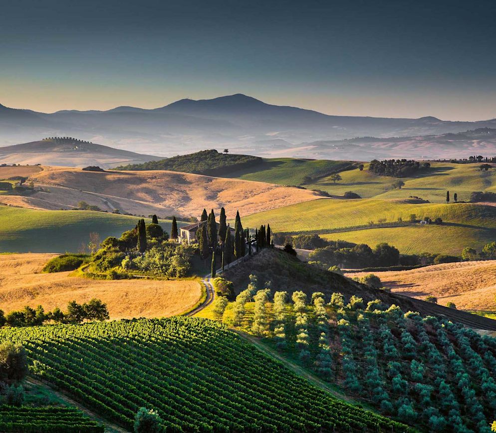 Weinreisen in der Toscana