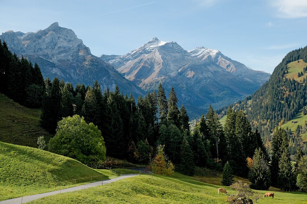 Die Käserei Spitzhorn in Feutersoey hat ihren Namen auch wegen des Hausbergs, dem Spitzhorn.