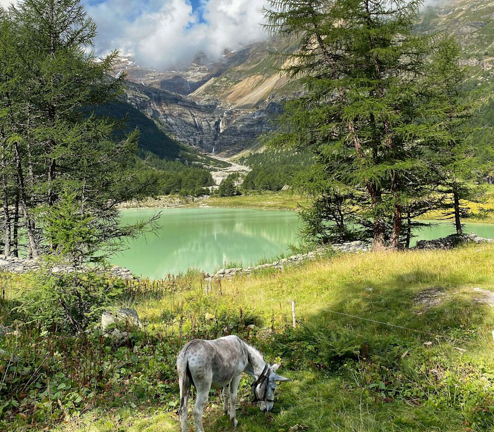 In der Schatzkammer: Die Region Valposchiavo