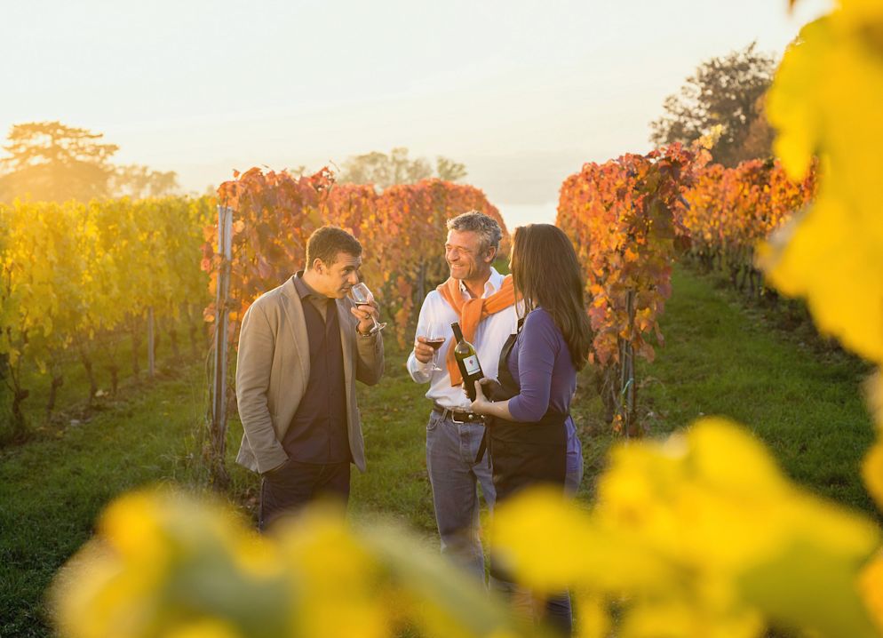 Eine Art heilige Dreifaltigkeit des kulinarischen Genf: Wein, Longeole und Cardon épineux.