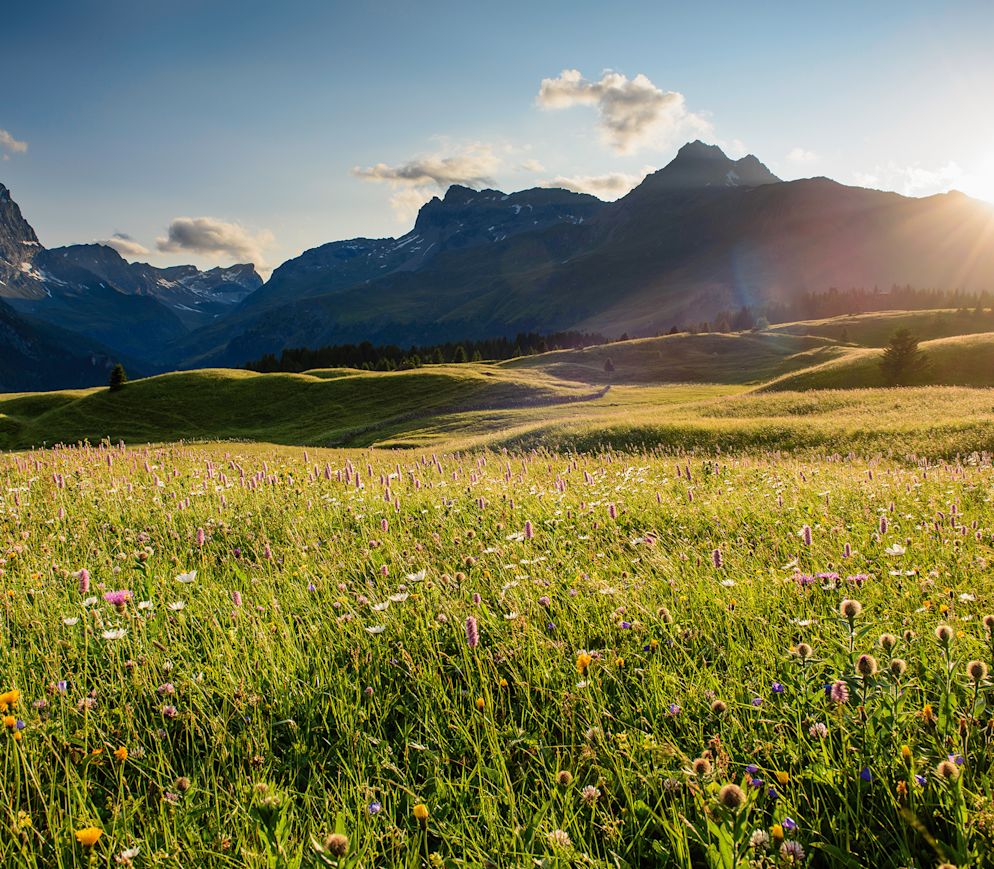 Foto: Lorenz A. Fischer - Mystische Stimmung: Alp Flix mit Piz Platta
